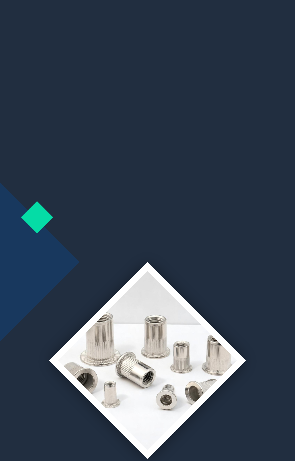 Stainless steel rivet nuts on a white surface, showcasing RivetGo’s premium quality standards