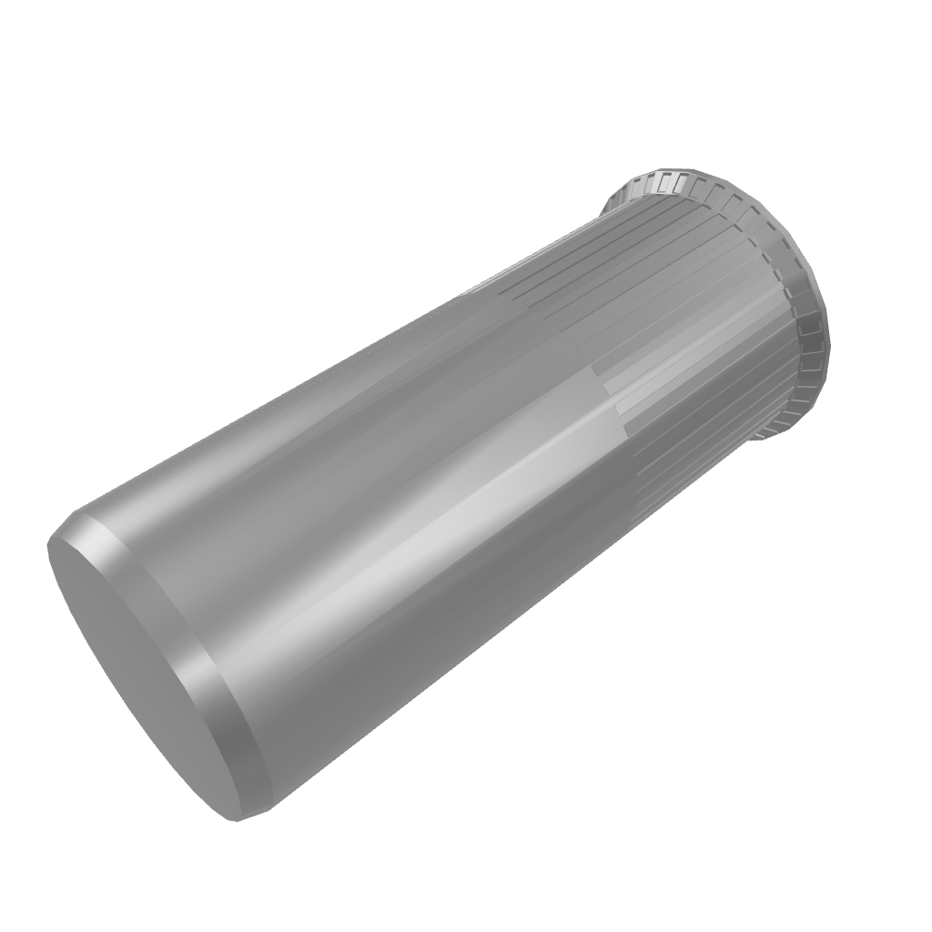 3D model of Closed End Reduced Head Knurled Rivet Nuts, RivetGo’s stainless steel waterproof rivet nuts for industrial use